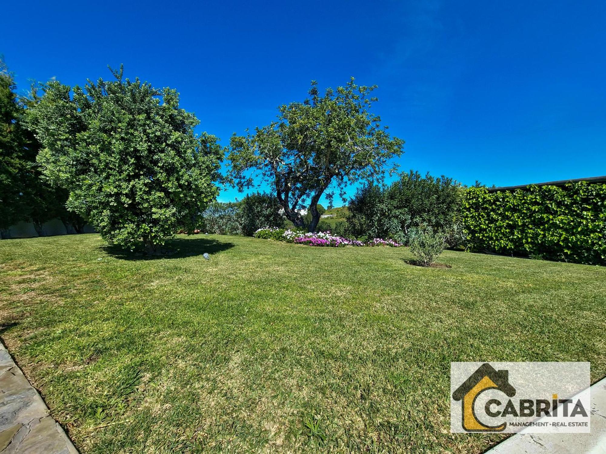 Quinta Dos Medronheiros Villa Altura Bagian luar foto