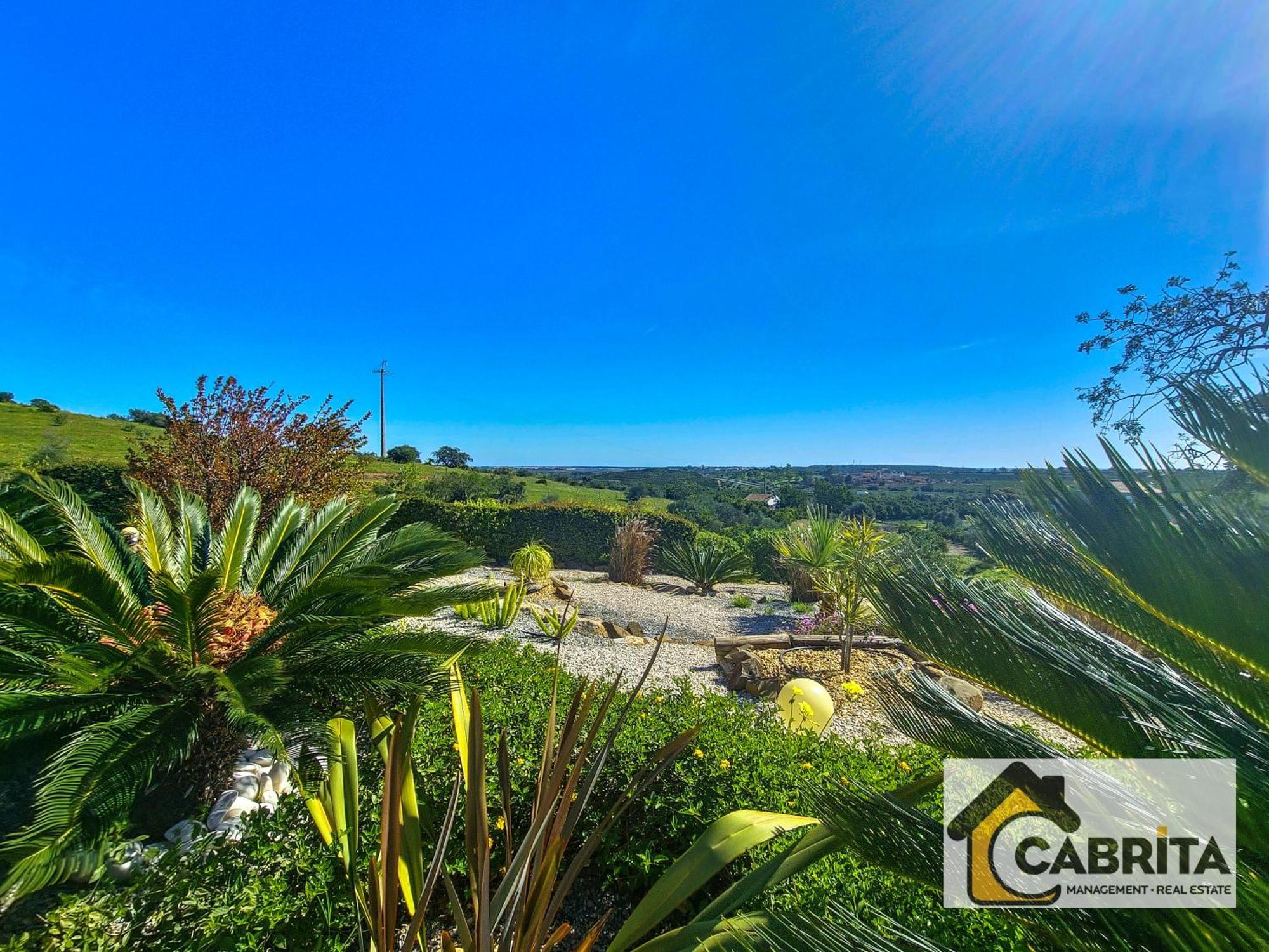 Quinta Dos Medronheiros Villa Altura Bagian luar foto