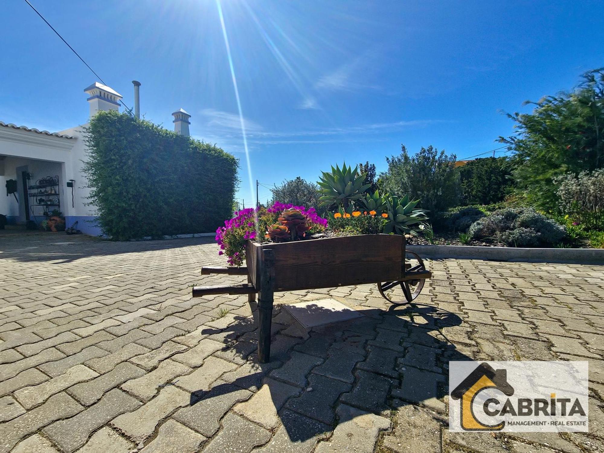 Quinta Dos Medronheiros Villa Altura Bagian luar foto