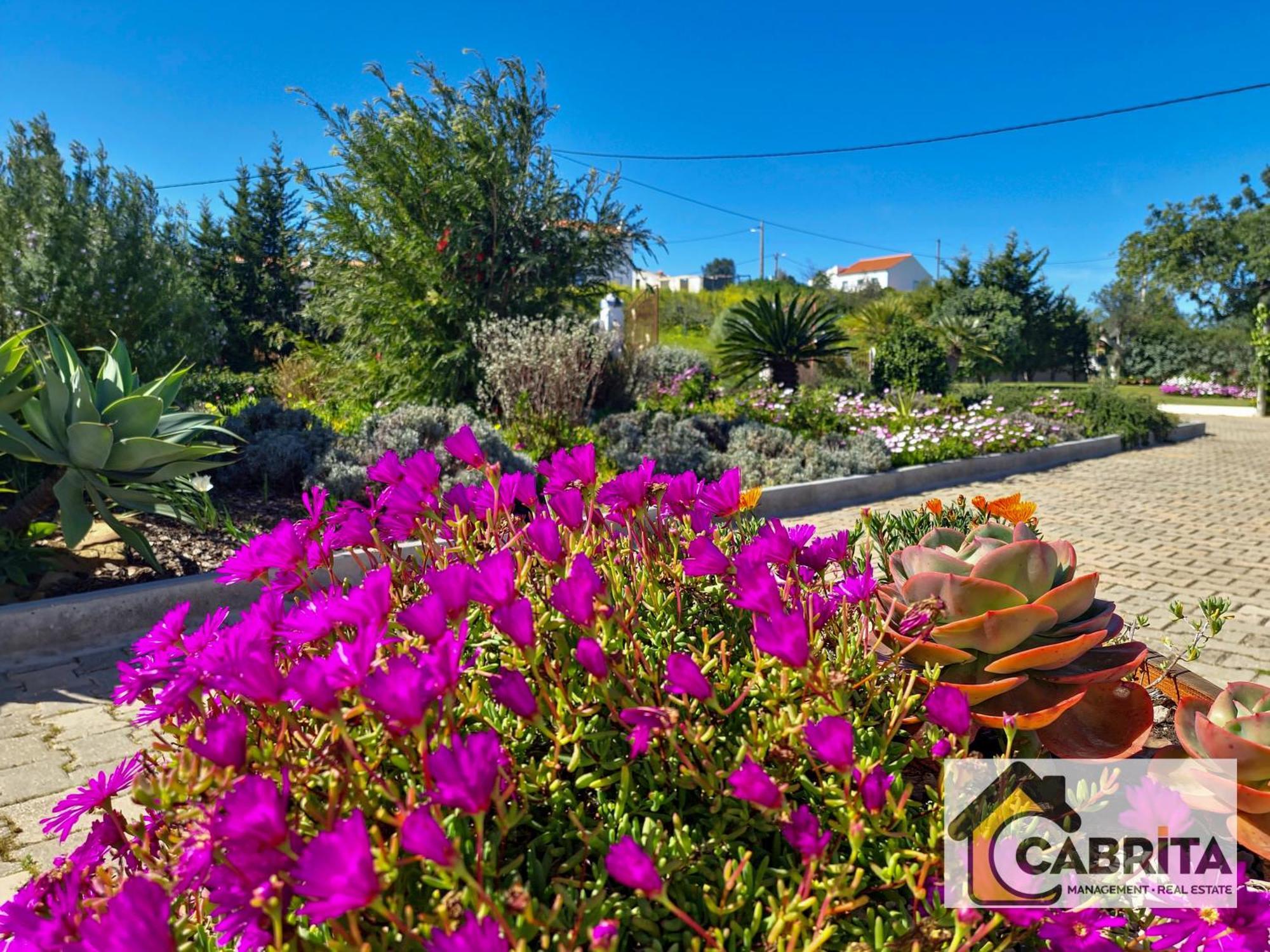 Quinta Dos Medronheiros Villa Altura Bagian luar foto
